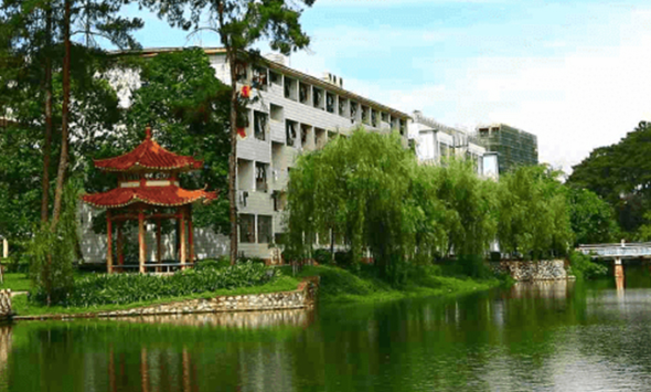 李强主持召开国务院常务会议 研究优化调整稳就业政策措施等